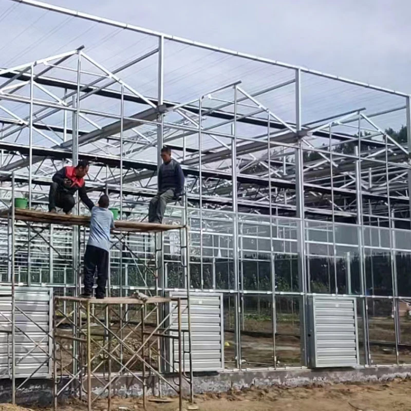 glass greenhouse under construction glass greenhouse under construction
