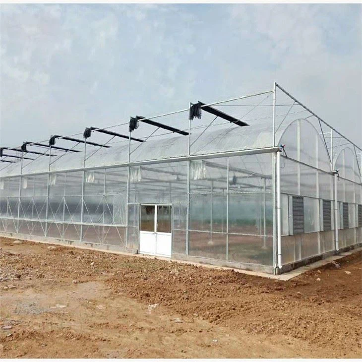 Multi Span Film Greenhouse With NFT System For Leafy Greens