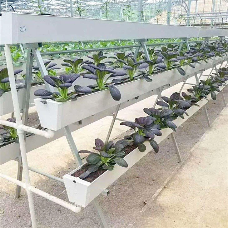 Hydroponics Growing Gutters China