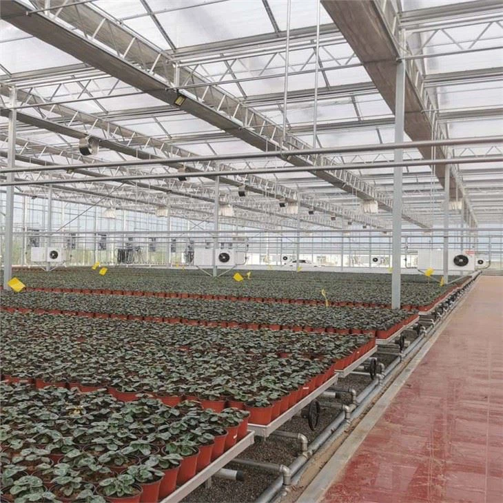 Hydroponics Vertical Farming