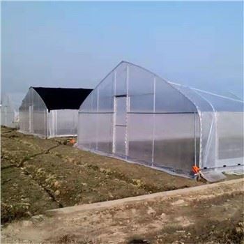 Rumah Hijau Terowong Oval 10mx36m