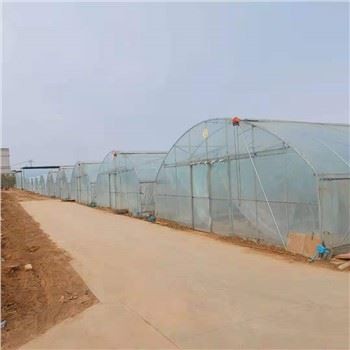 Filem Single Span Greenhouse
