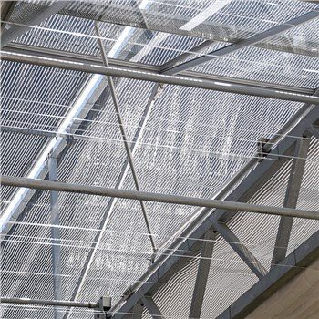 Teduhan cahaya rumah hijau