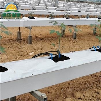 Loji Hidroponik Tomato Rumah Hijau