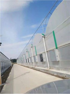 Rumah Hijau Dengan Sistem Penyejukan