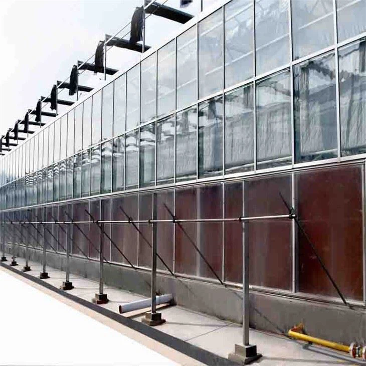 Venlo Agriculture Glass Greenhouse