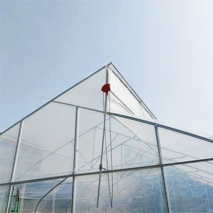 Sawtooth Greenhouse For Tropical Area With Roof Ventilation System