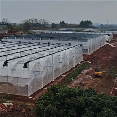 FILEM RUMAH HIJAU