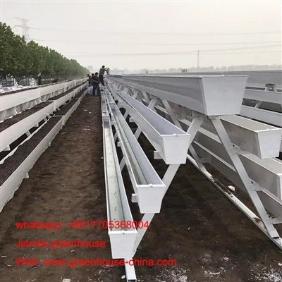 Sistem Hidroponik Penanaman Tanpa Tanah