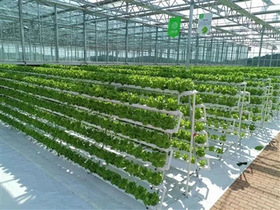NFT Channel Indoor Farming