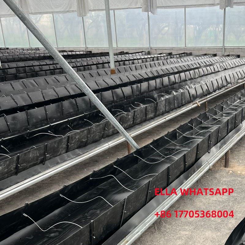 Polypropylene PP Soilless Cultivation Troughs best